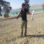 Yusuf labib